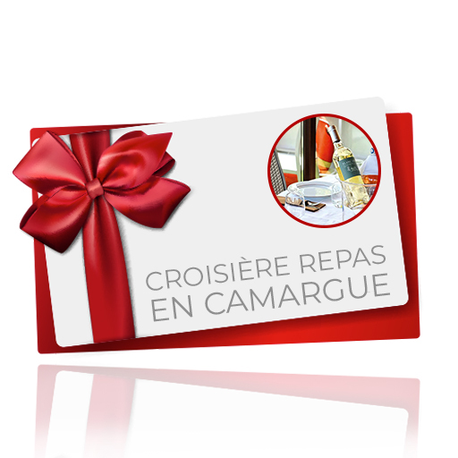 Bon Cadeau Enfant(s) de 0 à 3 ans – Croisière Repas En Camargue (repas non  compris – à prévoir) – Croisière de Camargue